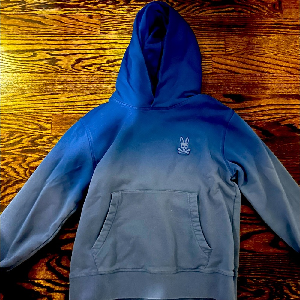 Psycho Bunny Blue and Gray Kids Hoodie